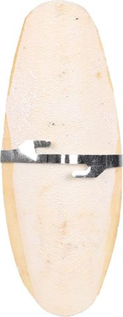 Sepiaskall Mineralstein til Fugl - 15cm