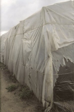 Home. Ediz. illustrata Bruna Ginammi