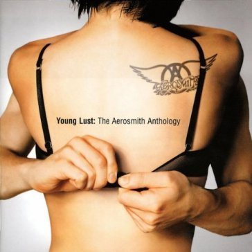 Young lust: the aerosmith anthology Aerosmith
