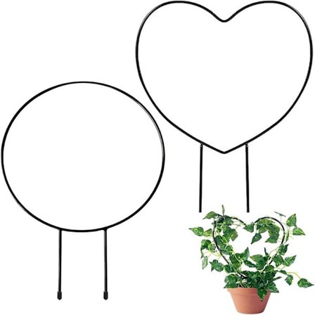 2-pakning metallplantestøtte for innendørsplanter, metallstøtte for klatreplanter, plantestøtte for potteplanter-FA-