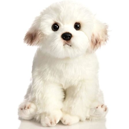 Realistisk Plys Malteser Hund, Plysdyr Hvalpe Hund Legetøj