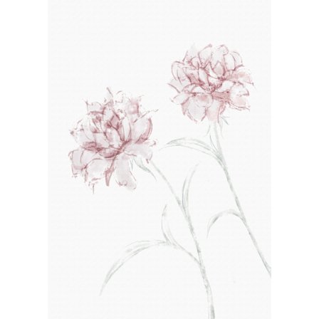 Peony 03