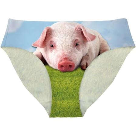 lukee Damunderkläder för kvinnor, sexiga underkläder, djurmode, bikinibyxor, festbyxor, gris, medium
