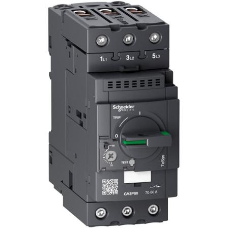 Schneider Electric GV3P80 Moottorin suojakytkin Everlink-liitännällä 70-80A, Sähkön jakelu & virrantuotto