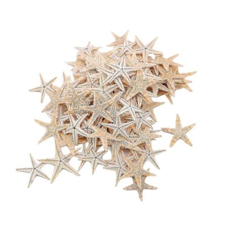 100 stk. Naturlige Søstjerner Muslingeskaller Strandhåndværk Naturlige Søstjerner DIY Strand Bryllupsdekoration Håndværk H