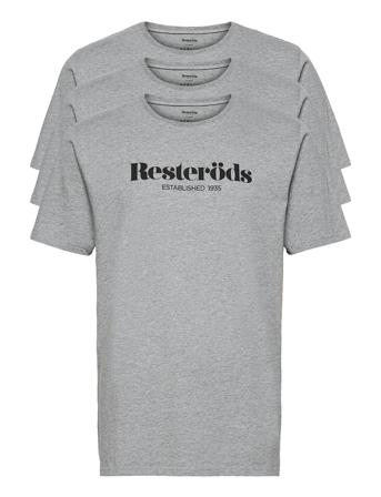 T-Shirt W. Print Rs Grey Resteröds