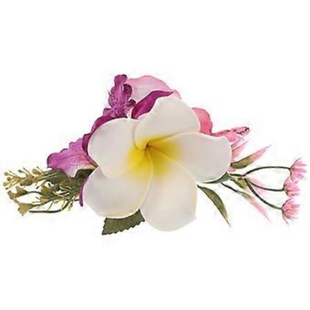 Värikkäät hiusklipsit Plumeria Hiusasusteet Klipsi Naisille Rantaloma Asuste Monivärinen Kukka Muoto Trooppinen Tyyli 1 Setti