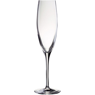 Champagneglass Stölzle Penelop