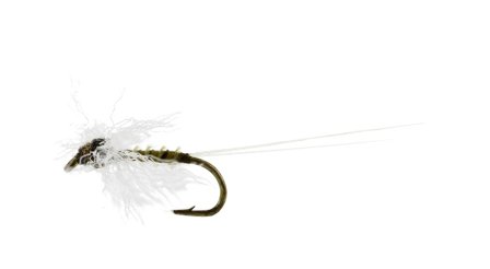 Baetis Spinner Biot Olive TMC100 #16