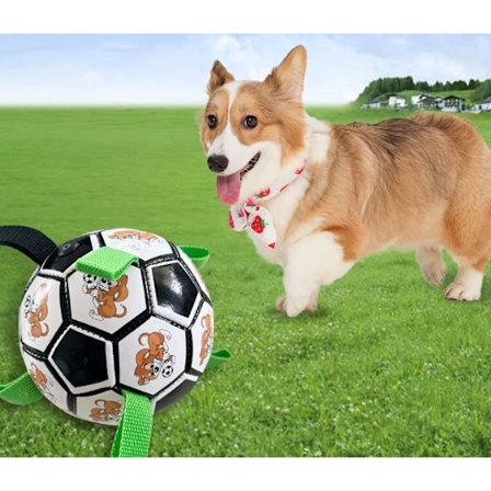 O förstörbar hundboll O förstörbar hundboll Interaktiv hundboll