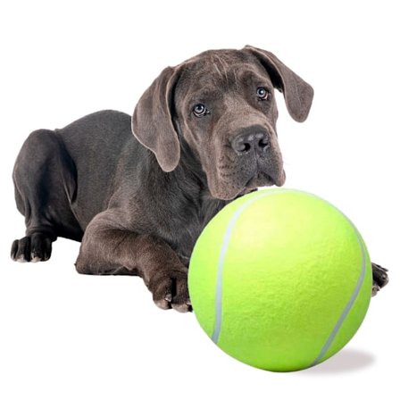 Stor tennisball for Hund – 24 cm hundeleke