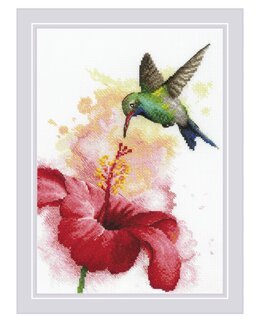 Broderikit Billede Kolibri - Riolis