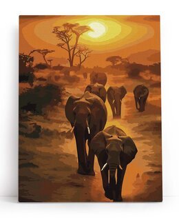 Paint By Numbers Safari im Sonnenuntergang