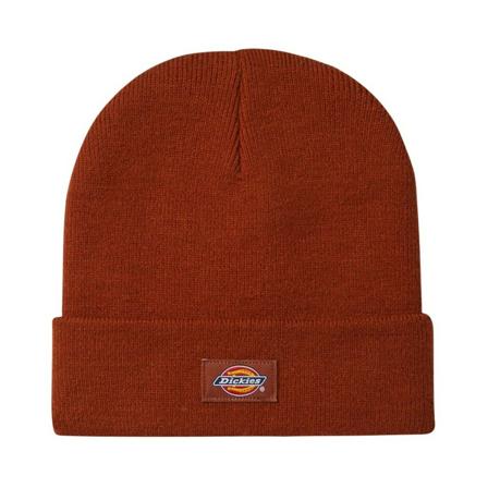 Dickies Beanies , Oranje , Heren , Maat: ONE Size Hoeden