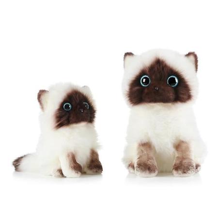 Søte Ragdoll-katt plysj utstoppede dyr leker 20cm