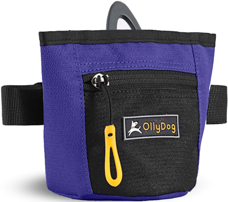 OllyDog Goodie Treat Bag koiran makupalapussi, Atlantic
