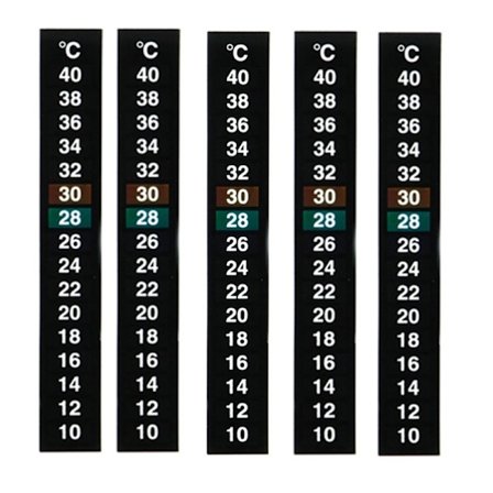 5-pack traditionell digital klistertermometer med Celsius-system
