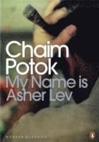 My Name is Asher Lev, ISBN: 9780141190563