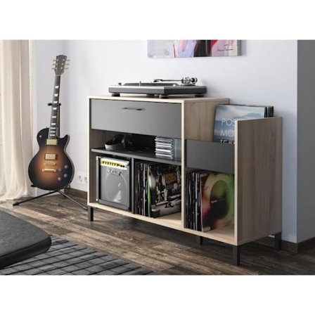Vinyl opbevaringsenhed - GAMI - Platin - Urban stil - Eg indretning - Sort - L 115 x D 40 x H 81 cm