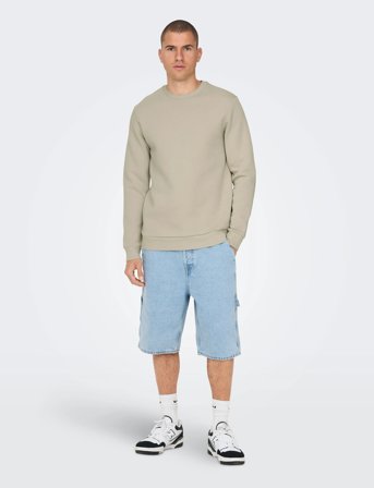 ONLY & SONS Onsceres Crew Neck Noos - Beige - L