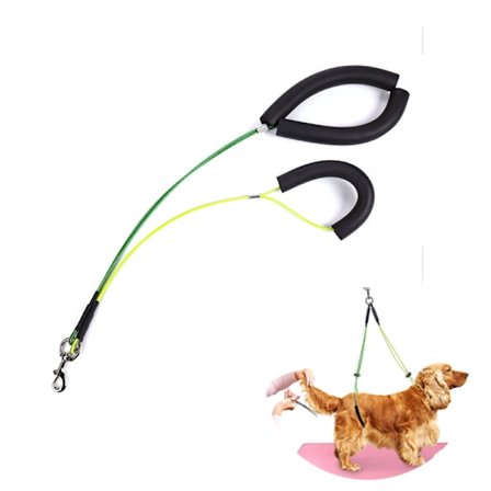 Generisk Hundtrimningsbord Rep Hundtrimningskoppel Hals Och Hock