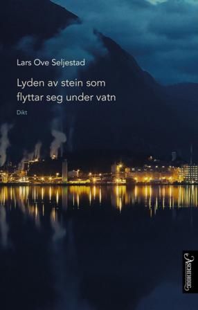 Lyden av stein som flyttar seg under vatn - Bok av Lars Ove Seljestad - Hardback