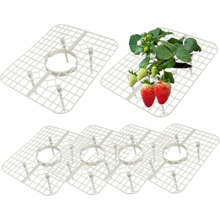 Jordbærstøtte, 6 stk. firkantet jordbærstativ med innlegg, avtakbar jordbærholder for jordbær og tomater (hvit)