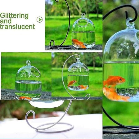 Hængende Glas Akvarium Fiskevase Klar 15 Cm Højde 23 Cm