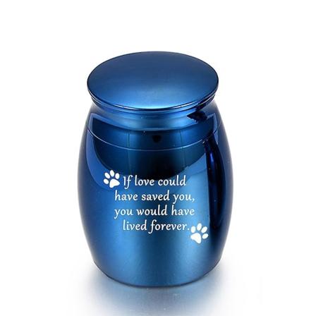 Liten kremasjonsurne for hundeaske Mini kjæledyrurne av rustfritt stål askeminne Blue