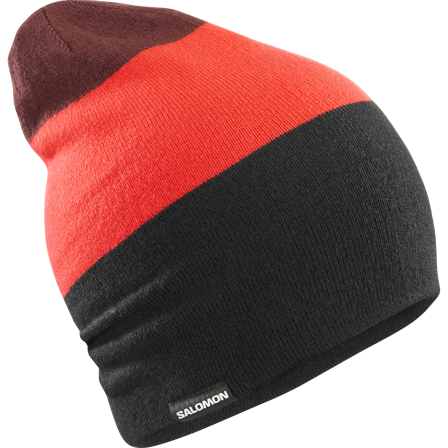 Salomon - Hatte og kasketter Hatte og kasketter Flatspin Reversible Beani