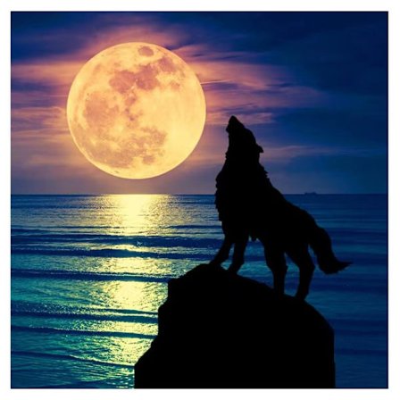 Diamond Painting DIY 5D Diamantmålning - 30x30cm-wolf - high quality