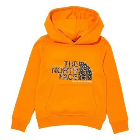 The North Face, Hoodies Pomarańczowy, unisex, Rozmiar: L