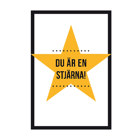 Du är en stjärna! 9789177836483
