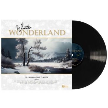 Winter wonderland / various Winter Wonderland /