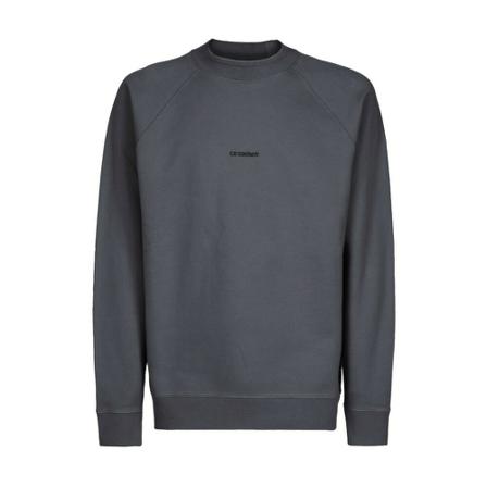 C.p. Company, Sweatshirts Grijs, Heren, Maat:S