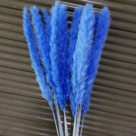 Lille Tørret Pampasgræs Dekoration Naturlige Blomster Fotografi Rekvisitter til Bryllupper og Hoteller