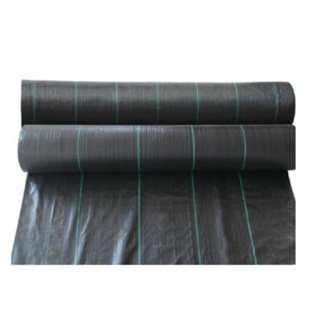 (1*7 M) Kiinnitysliina PE materiaali 80g paino
