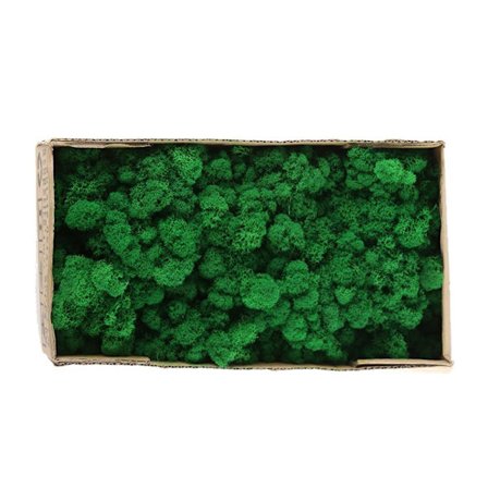 Konservert dekorativ mose Holdbar naturlig konservert mose for hjemmedekorasjoner Modellbygging