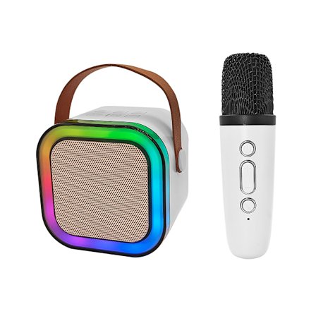 Karaokekaiutin, jossa on LED-valo ja langaton mikrofoni