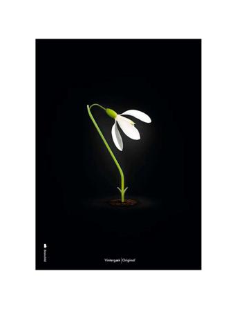 Snowdrop Black Home Decoration Posters & Frames Posters Botanical Multi/mønstret Brainchild