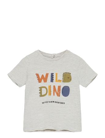 Dinos Grey Mango