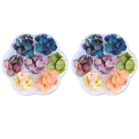 Neglekunst Tørkede Blomster 3D Neglekunst Klistremerker Fargerike Naturlige