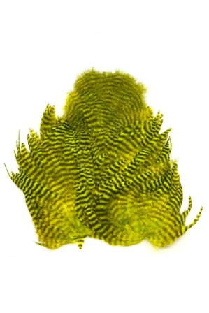 Whiting Rooster SH/C Grizzly dyed Fl. Yellow Chartreuse