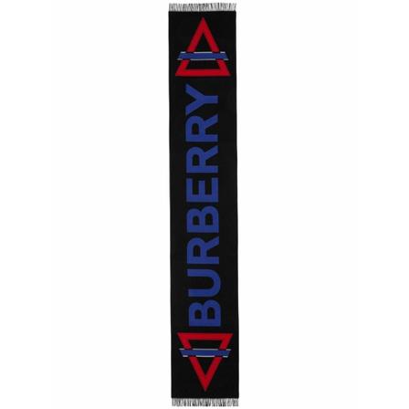 Burberry, Winter Scarves Zwart, Heren, Maat:ONE Size