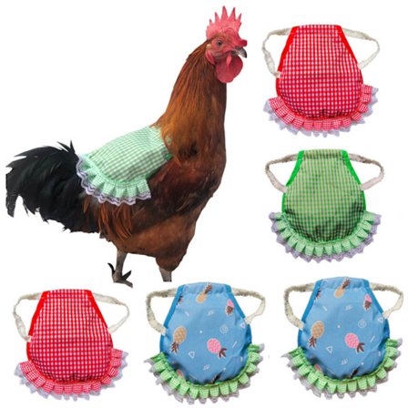 Hønesadel Forkle Fjær Beskytter 6 stk