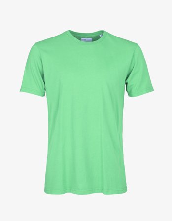 Classic Organic Tee - Spring Green - S