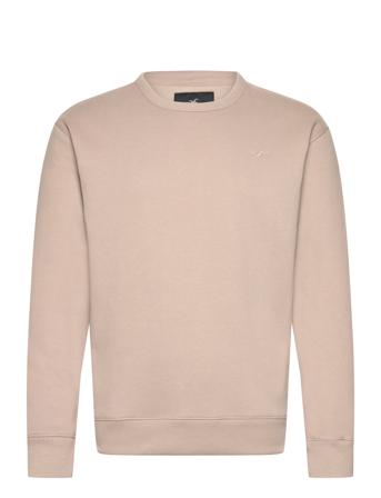 Hco. Guys Sweatshirts Beige Hollister