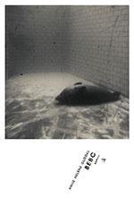 Bebo - Bok av Anne Helene Guddal - Hardback