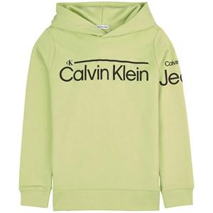 Kids - Calvin Klein Jeans Institutional Branded Hoodie Exotic Mint 14 Years - Jumpers and knitwear - 14 years - Green - Junge