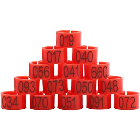 100 st/påse 20MM 001-100 Numrerade Plastfågelben Multifärgade DXGHC